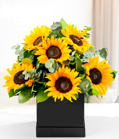 Envio y venta de flores ,rosas, plantas,arreglos florales ,regalos y desayunos a domicilio con delivery gratis en la Ciudad Autonoma de Buenos Aires y con costo de env�o en localidades del Gran Buenos Aires asi como delivery de flores y plantas a trav�s de florerias asociadas en todas las provincias de la Argentina, Buenos Aires, la Pampa, Tucuman, La Rioja, R�o Negro, Entre Rios, Corrientes, Misiones, Neuquen, Chubut, Tierra del Fuego, Santa Cruz, San Luis, Mendoza, Cordoba, Jujuy, Formosa, Santiago del Estero, Salta, Chaco, Catamarca ,San Juan, y ademas realizamos el delivery de flores ,coronas,palmas , plantas y regalos a todas las ciudades de Argentina, Mar del Plata, C�rdoba, Buenos Aires, con cargo en Santa Rosa, La Plata, Bella Vista, Neuquen, Pilar, Paran�, Posadas, Resistencia, Cipolleti y mas de 300 ciudades y localidades en todo el territorio de nuestro pa�s, asi como tambien tenemos la posibilidad de enviar flores a casi todo el mundo en cuestion de horas